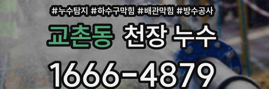 교촌동 천장 누수