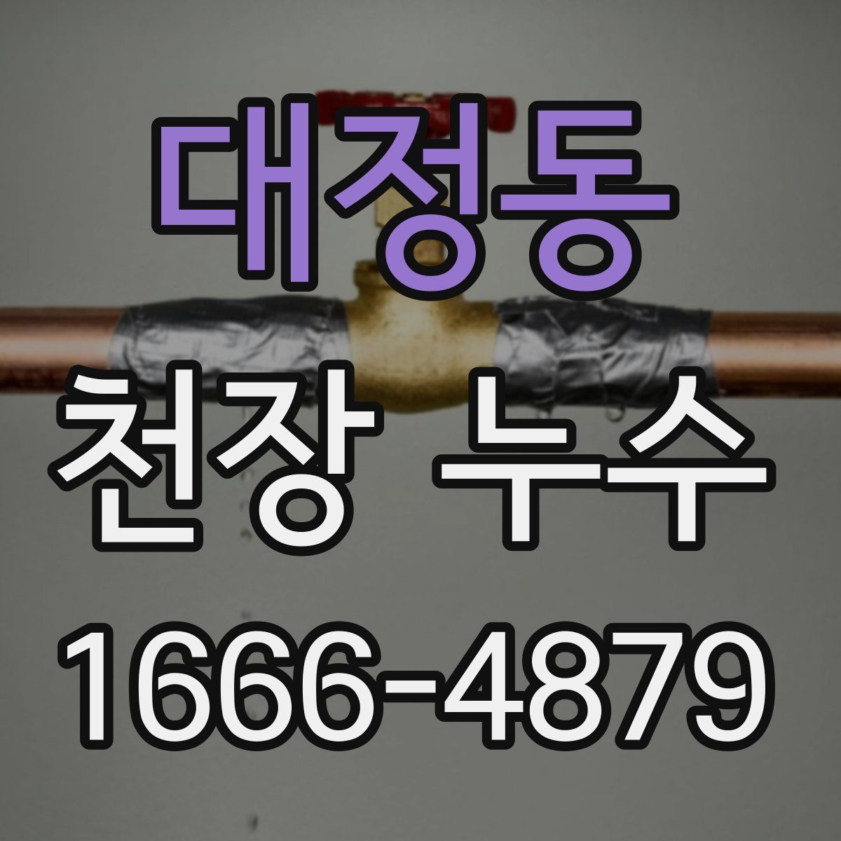대정동 천장 누수