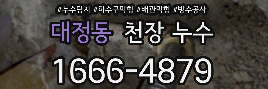 대정동 천장 누수