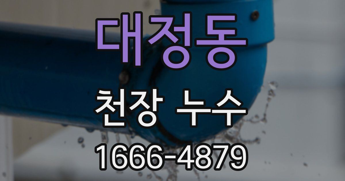 대정동 천장 누수