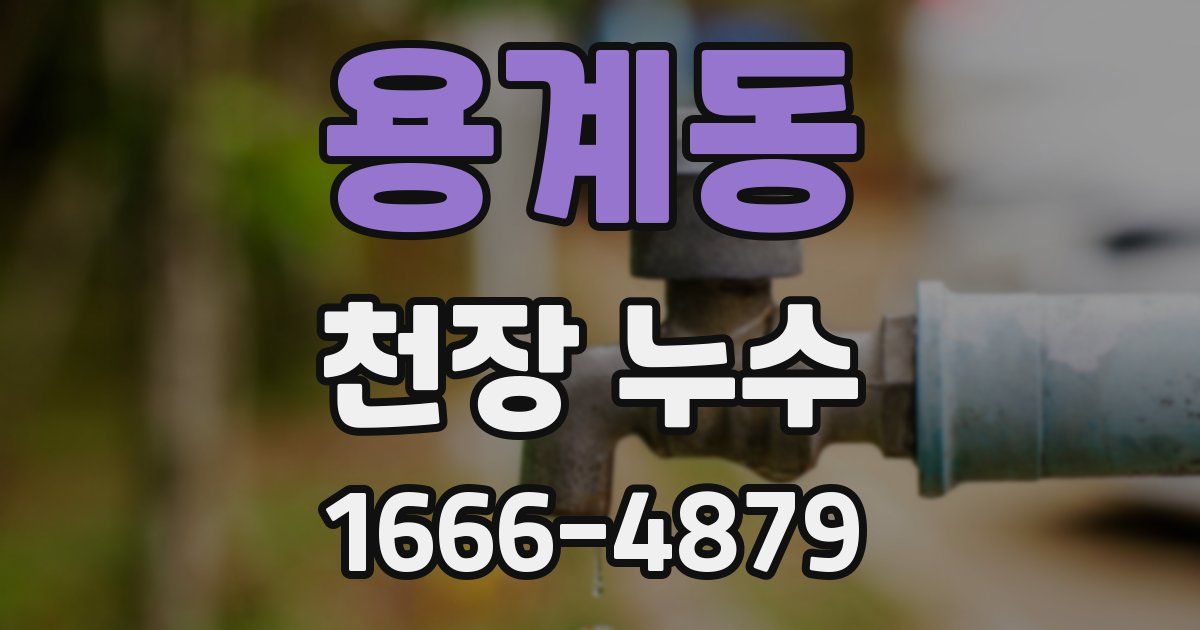 용계동 천장 누수