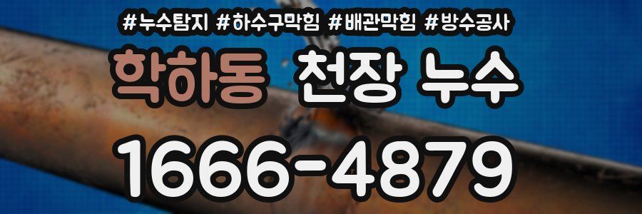 학하동 천장 누수