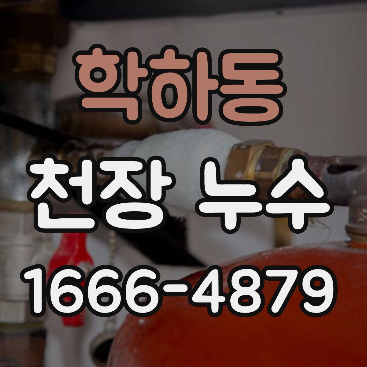 학하동 천장 누수