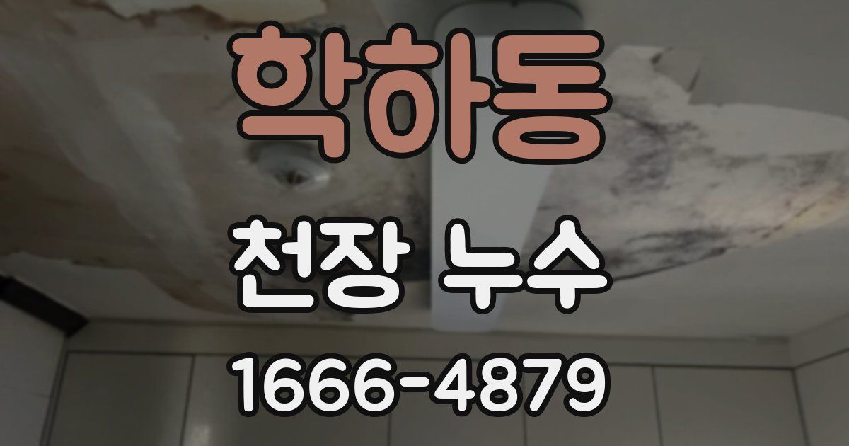 학하동 천장 누수