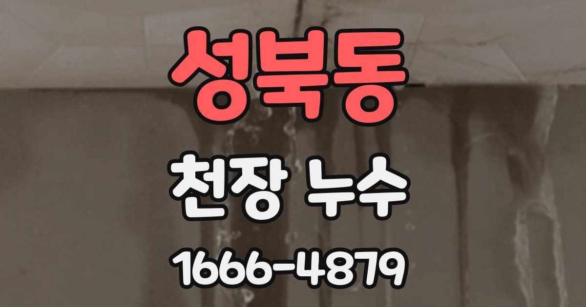 성북동 천장 누수