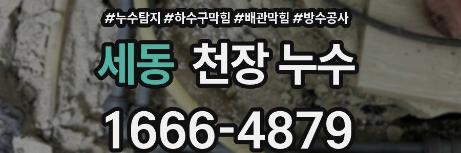 세동 천장 누수