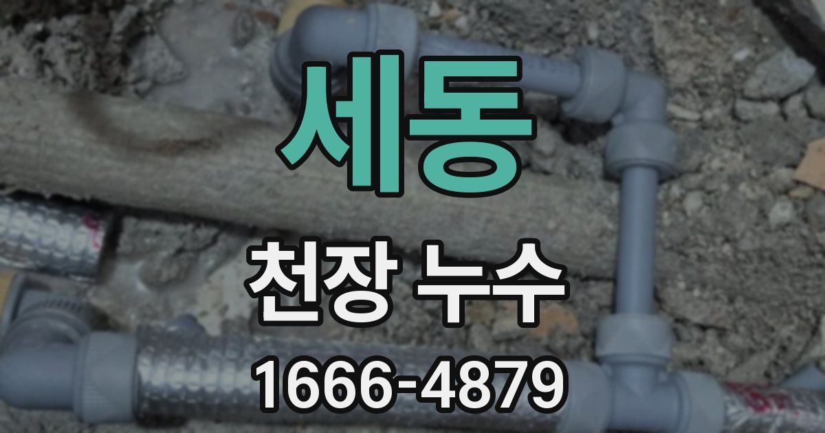 세동 천장 누수