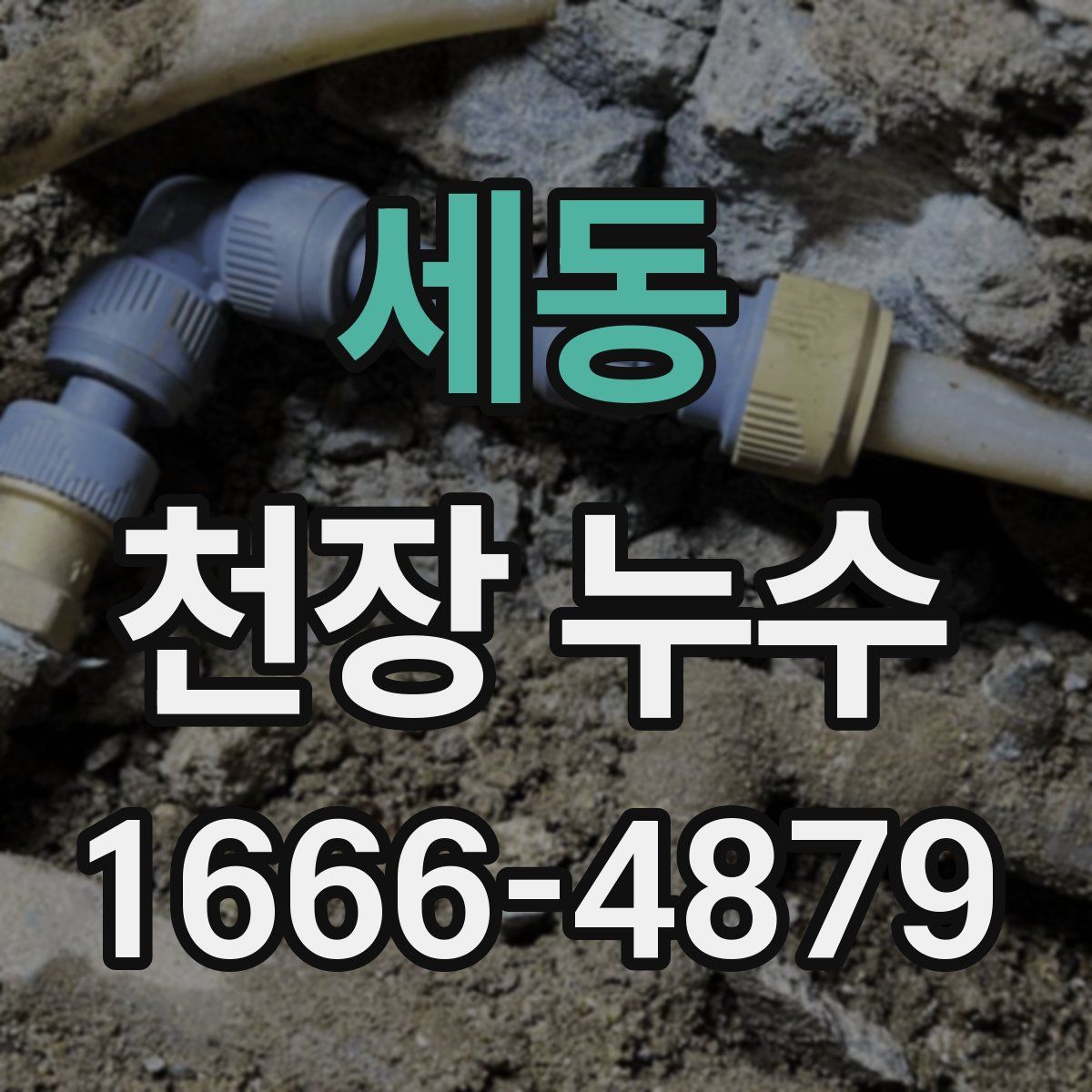 세동 천장 누수
