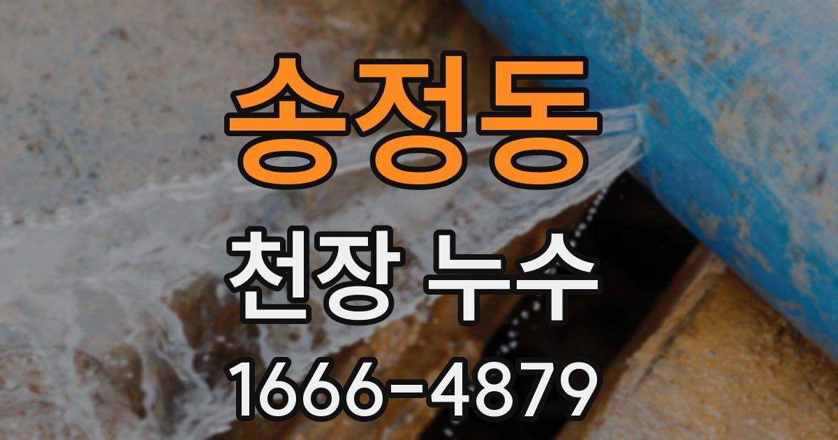 송정동 천장 누수