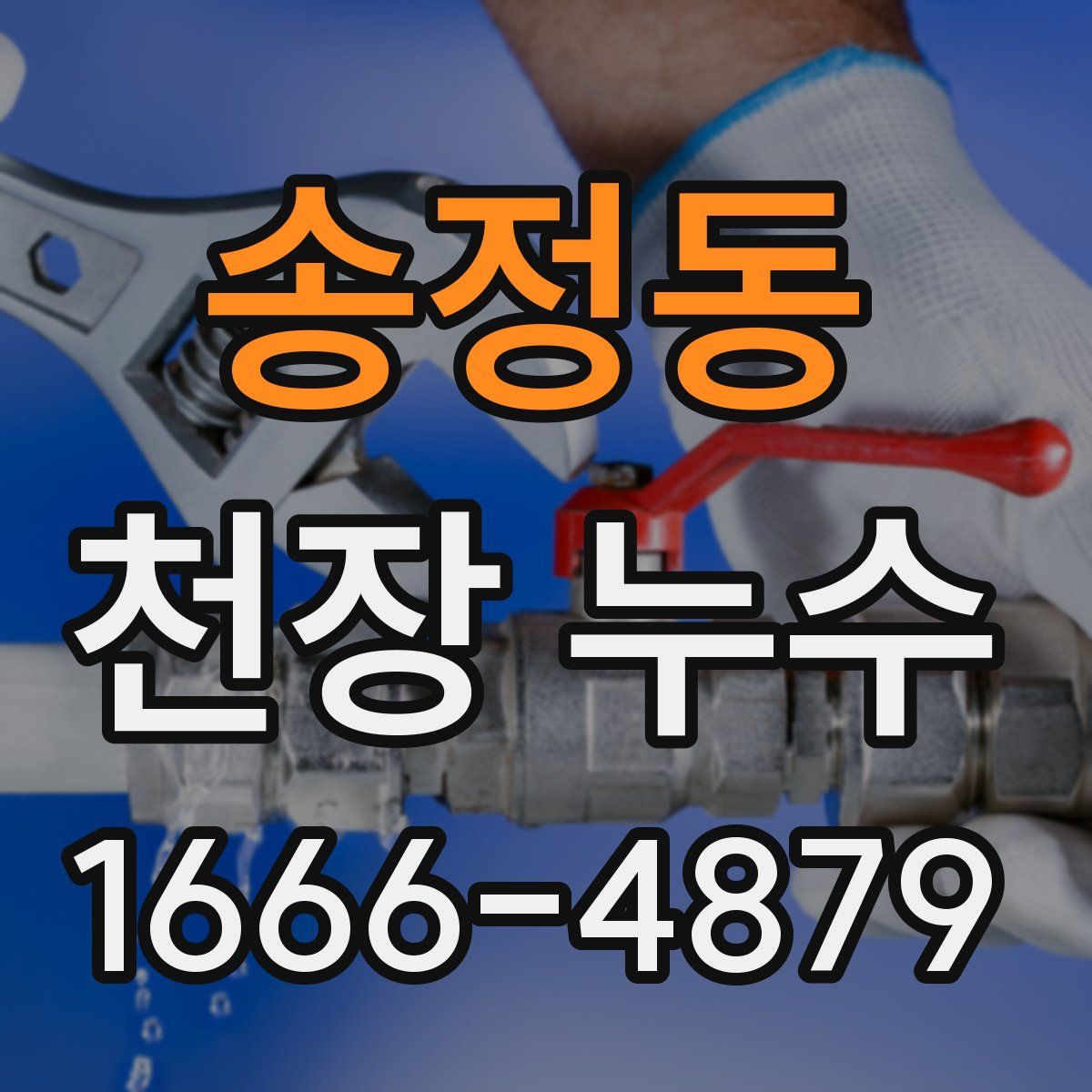 송정동 천장 누수