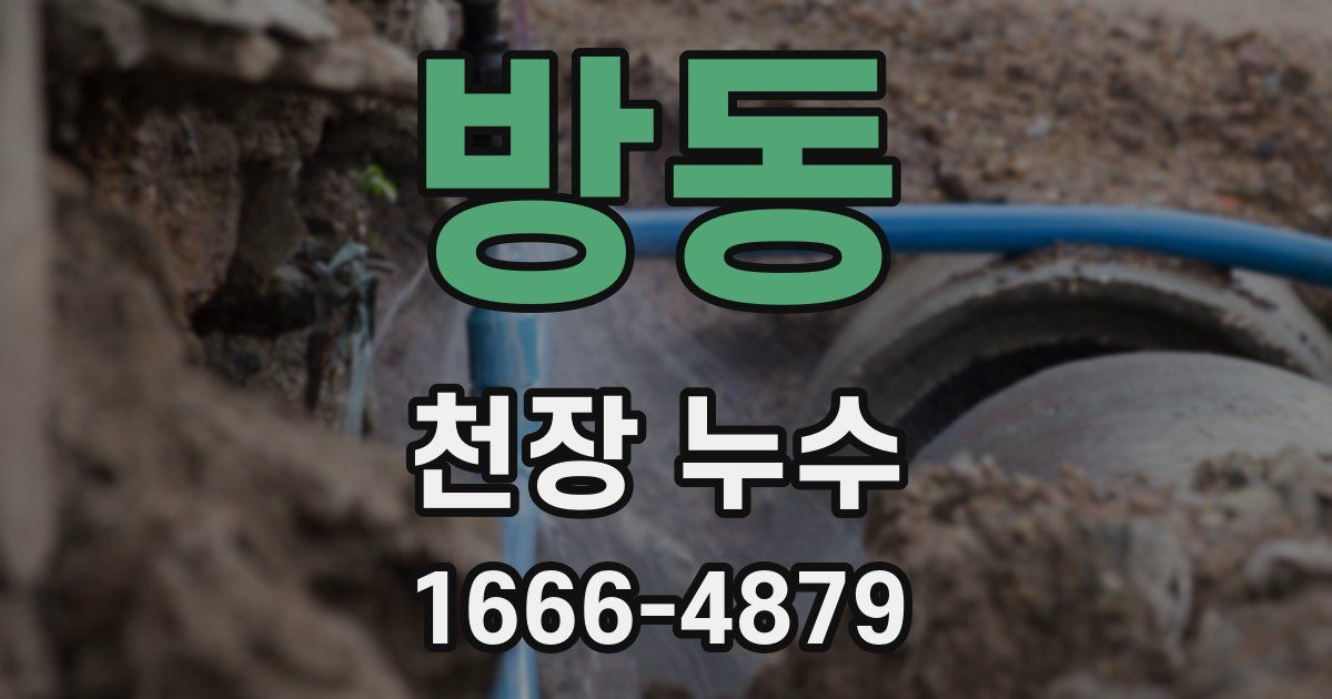 방동 천장 누수