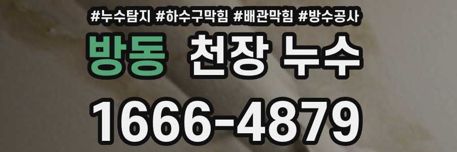 방동 천장 누수