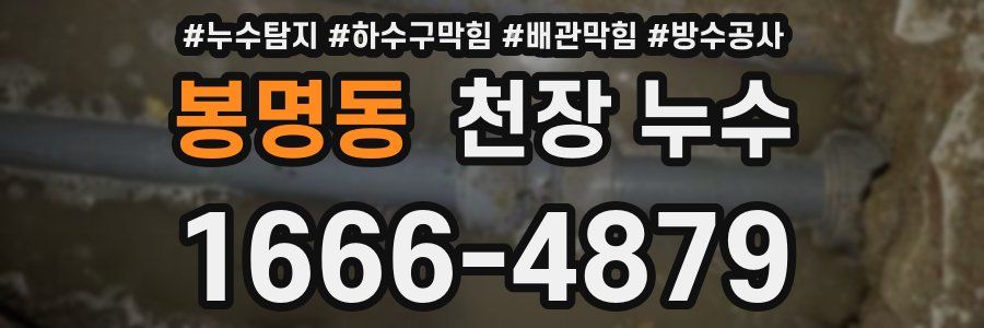 봉명동 천장 누수