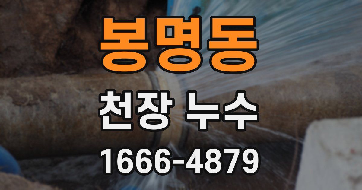 봉명동 천장 누수