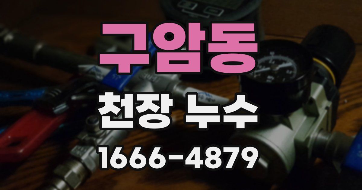구암동 천장 누수