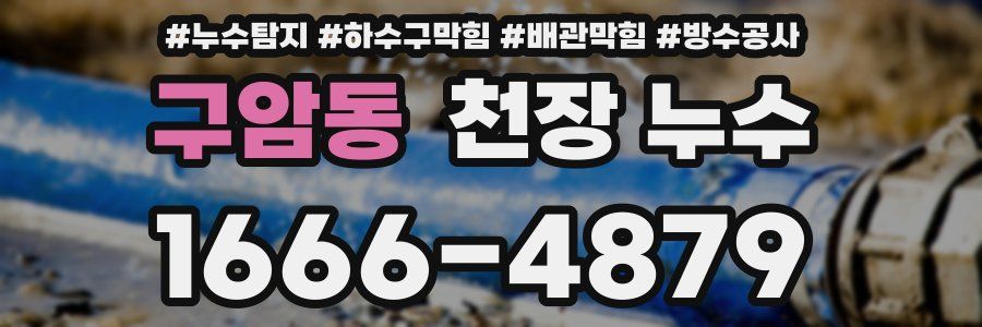 구암동 천장 누수