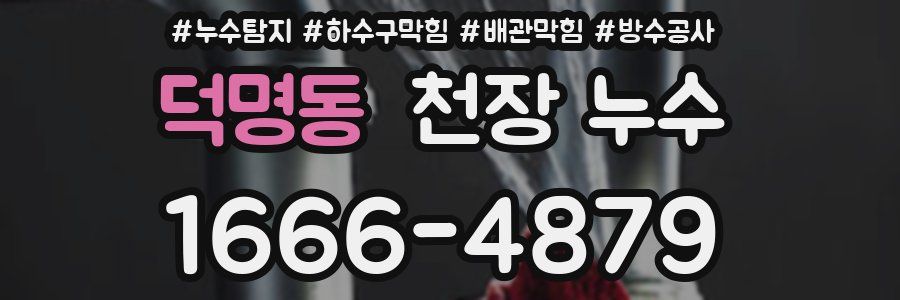 덕명동 천장 누수