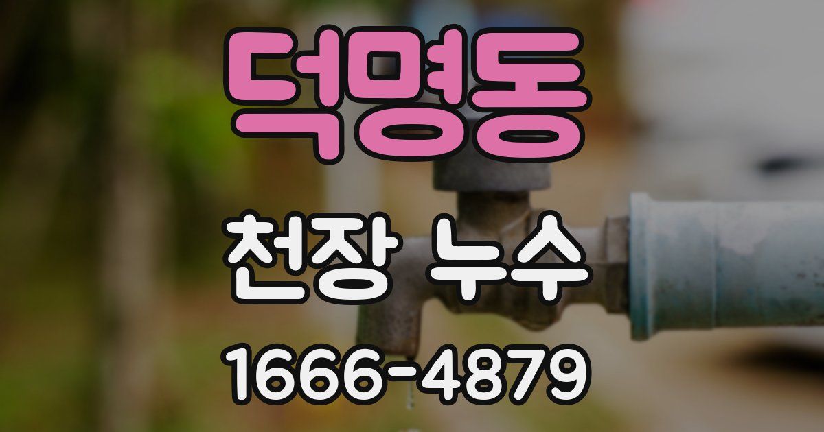 덕명동 천장 누수