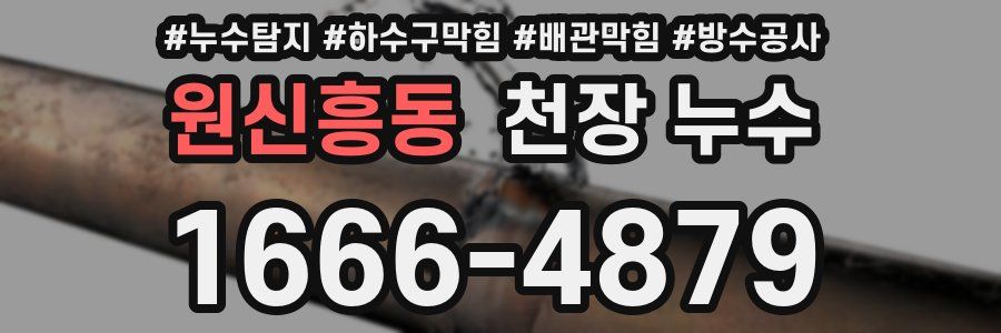 원신흥동 천장 누수