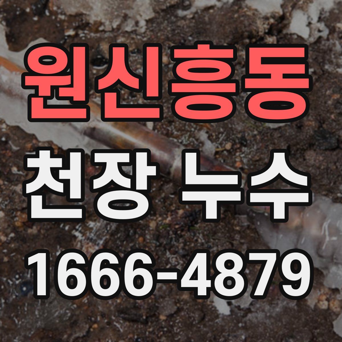 원신흥동 천장 누수
