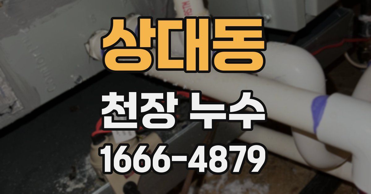 상대동 천장 누수