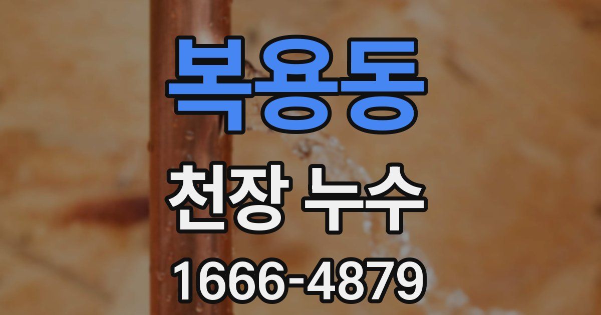 복용동 천장 누수