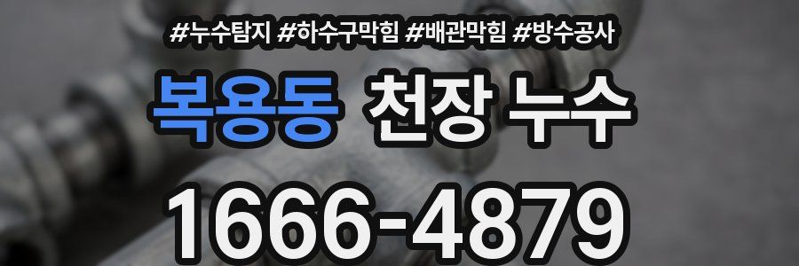 복용동 천장 누수