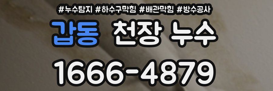 갑동 천장 누수