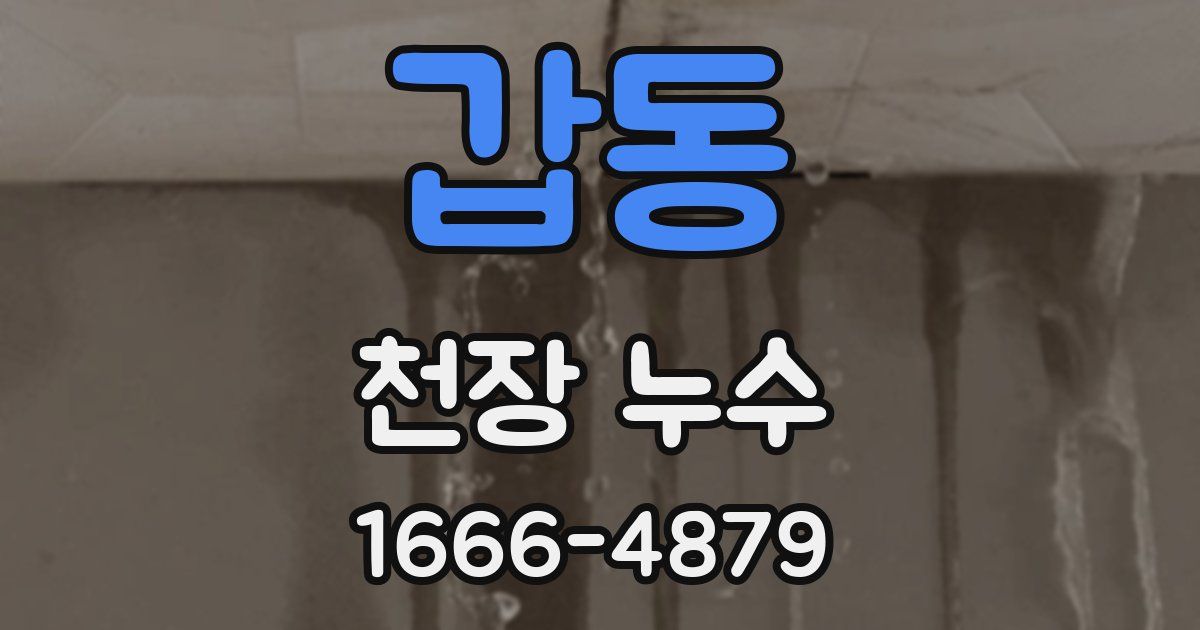 갑동 천장 누수