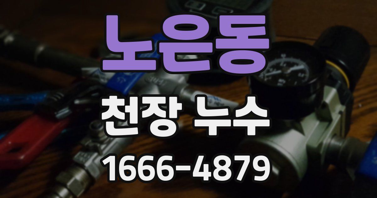 노은동 천장 누수