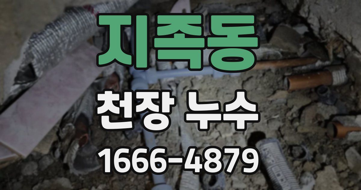 지족동 천장 누수