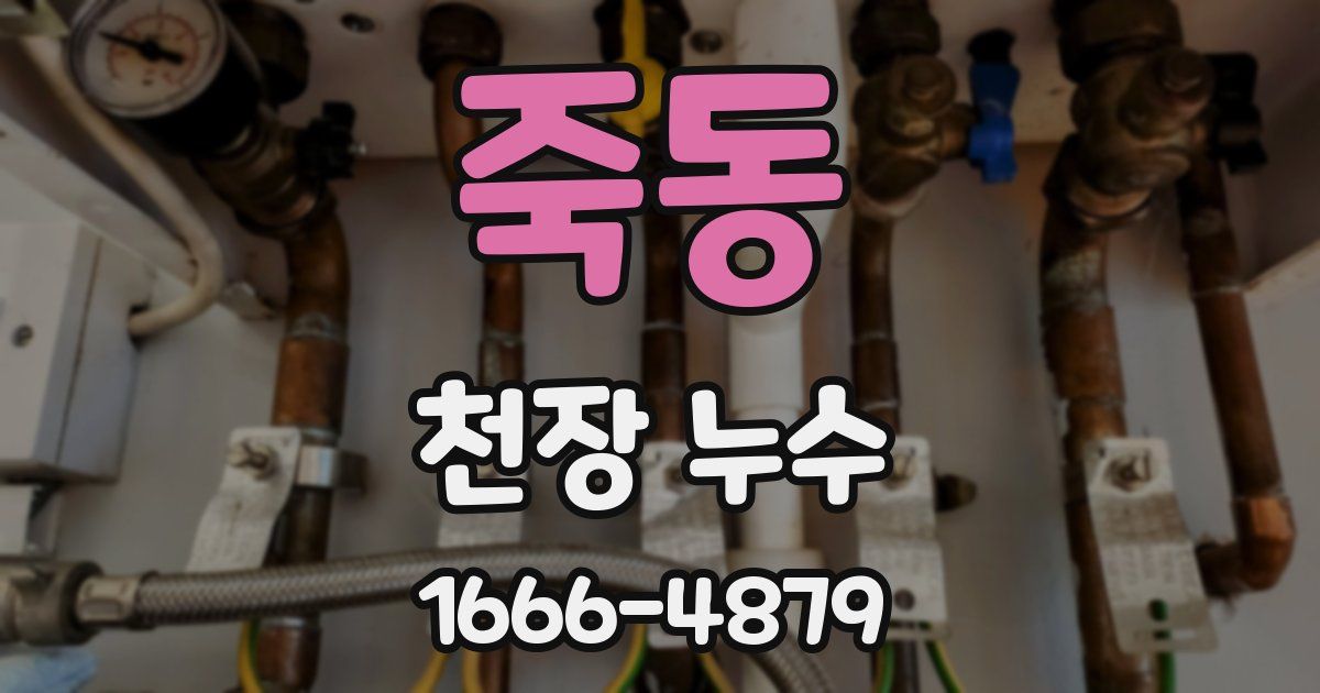 죽동 천장 누수