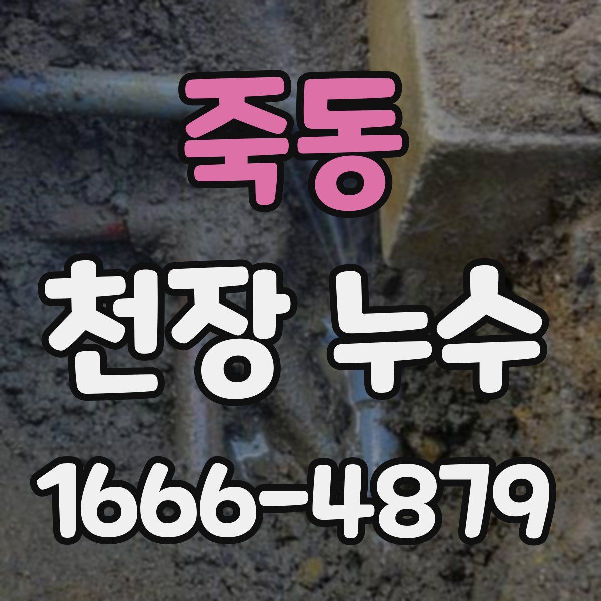 죽동 천장 누수