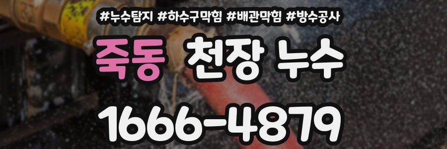 죽동 천장 누수