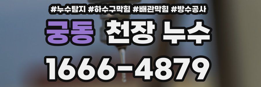 궁동 천장 누수