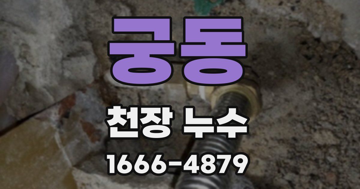 궁동 천장 누수