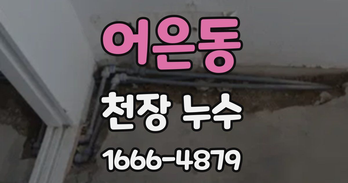 어은동 천장 누수