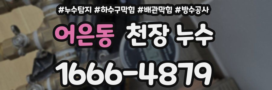 어은동 천장 누수