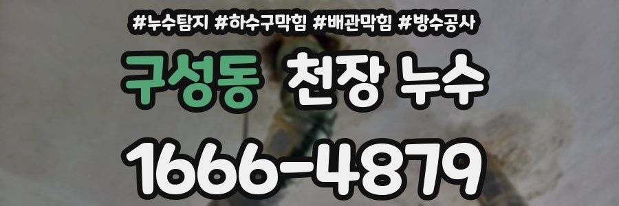 구성동 천장 누수