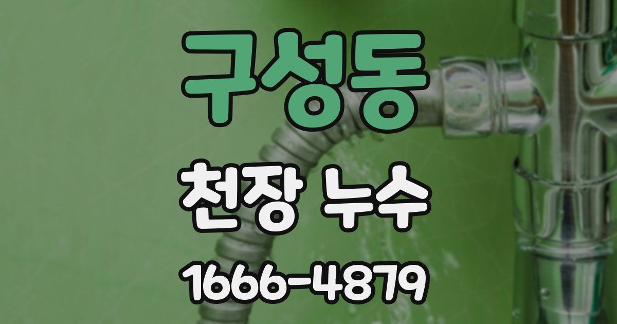 구성동 천장 누수
