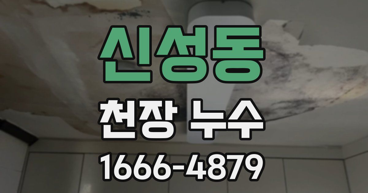 신성동 천장 누수