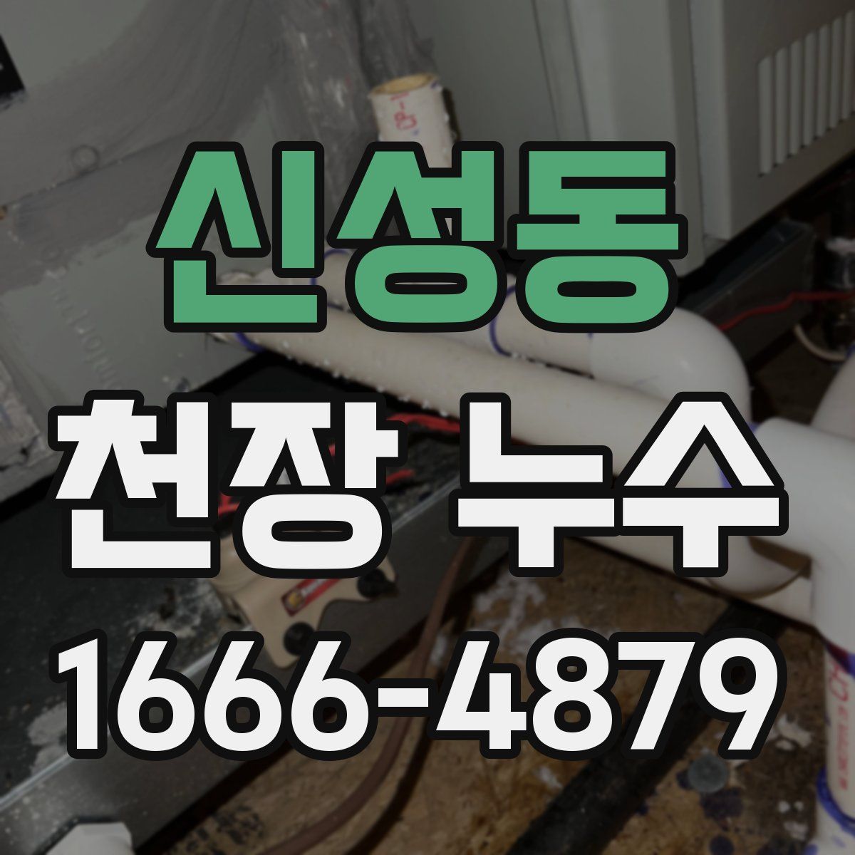 신성동 천장 누수
