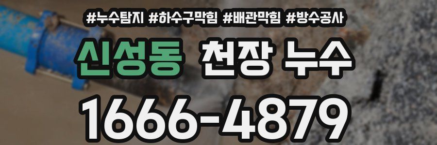신성동 천장 누수
