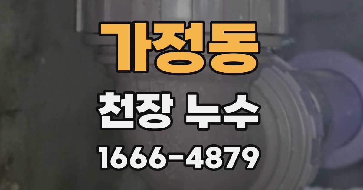가정동 천장 누수
