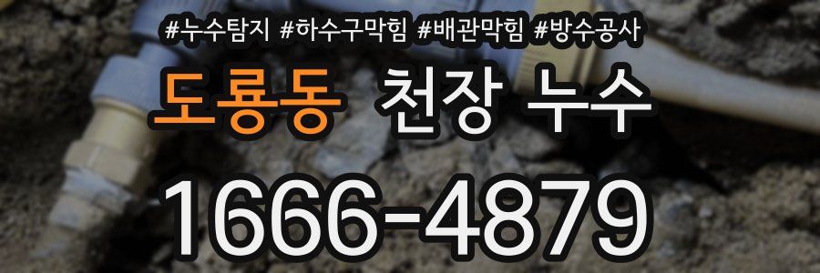 도룡동 천장 누수