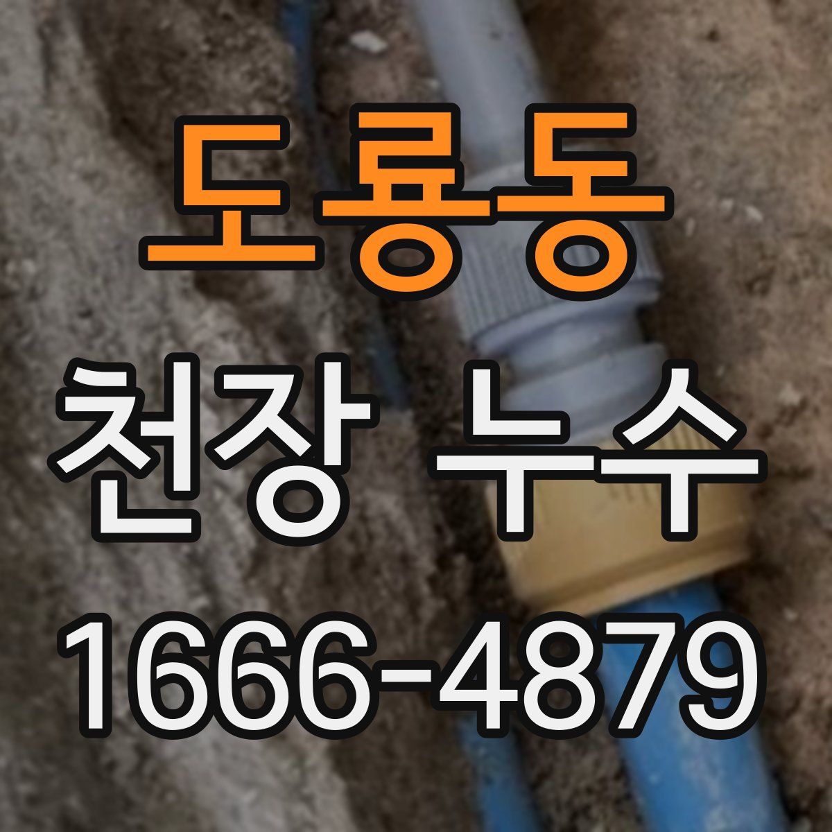 도룡동 천장 누수