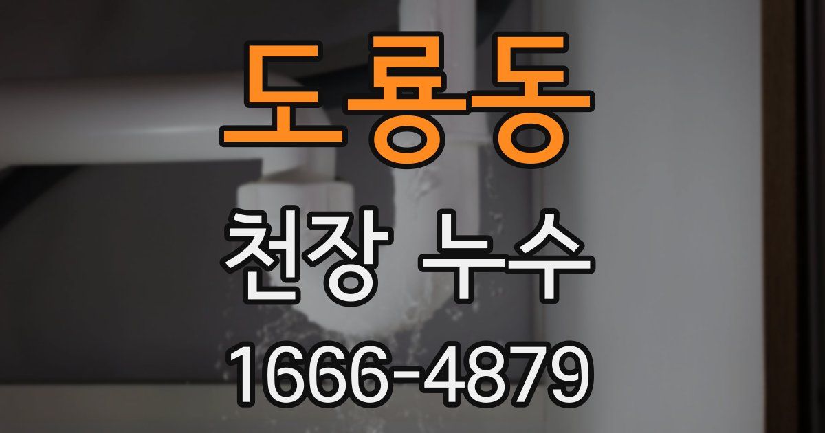 도룡동 천장 누수