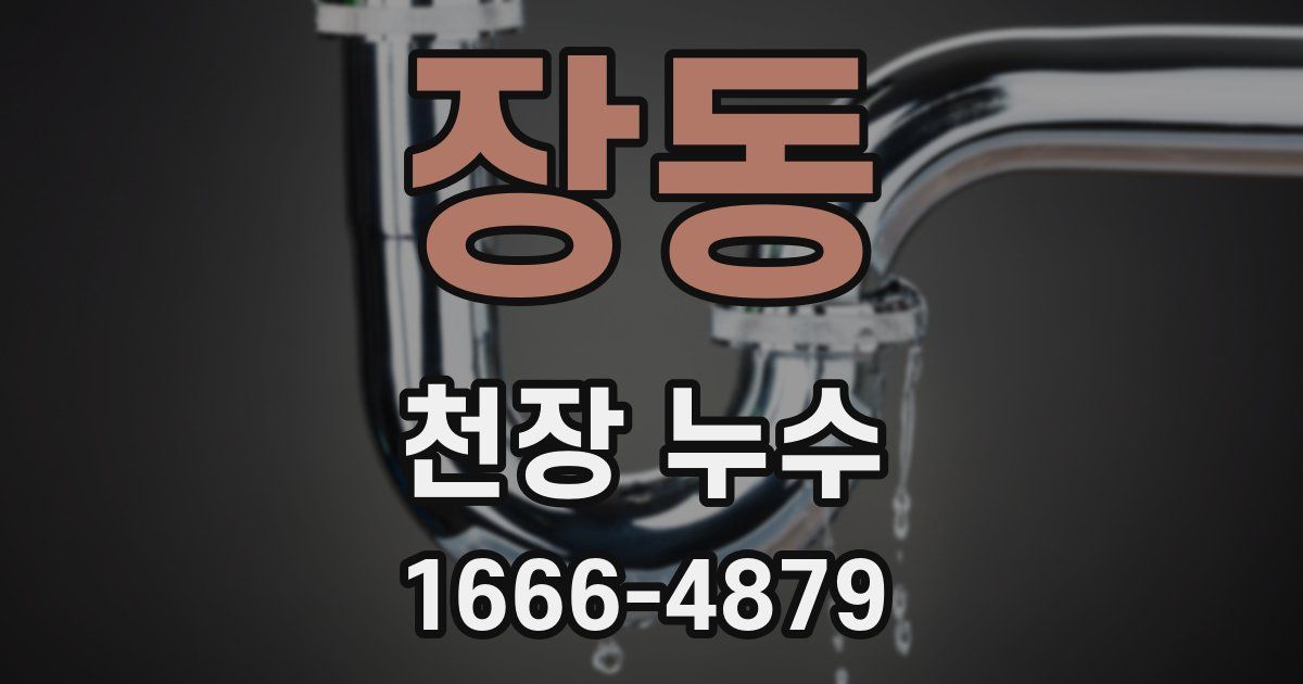 장동 천장 누수