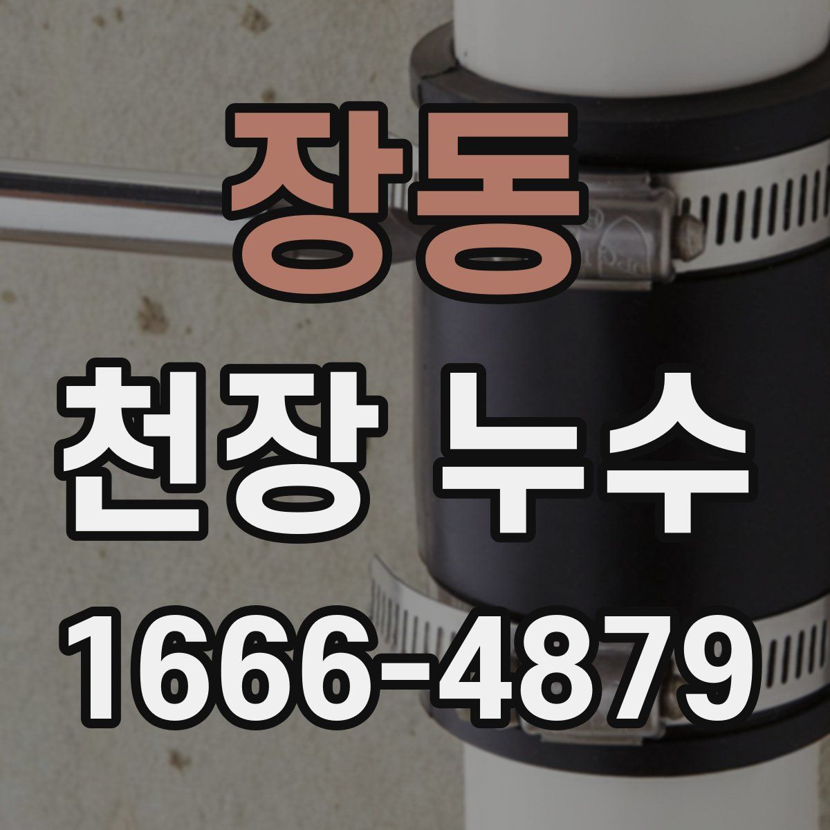 장동 천장 누수