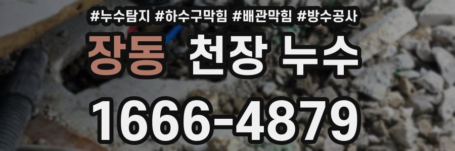 장동 천장 누수